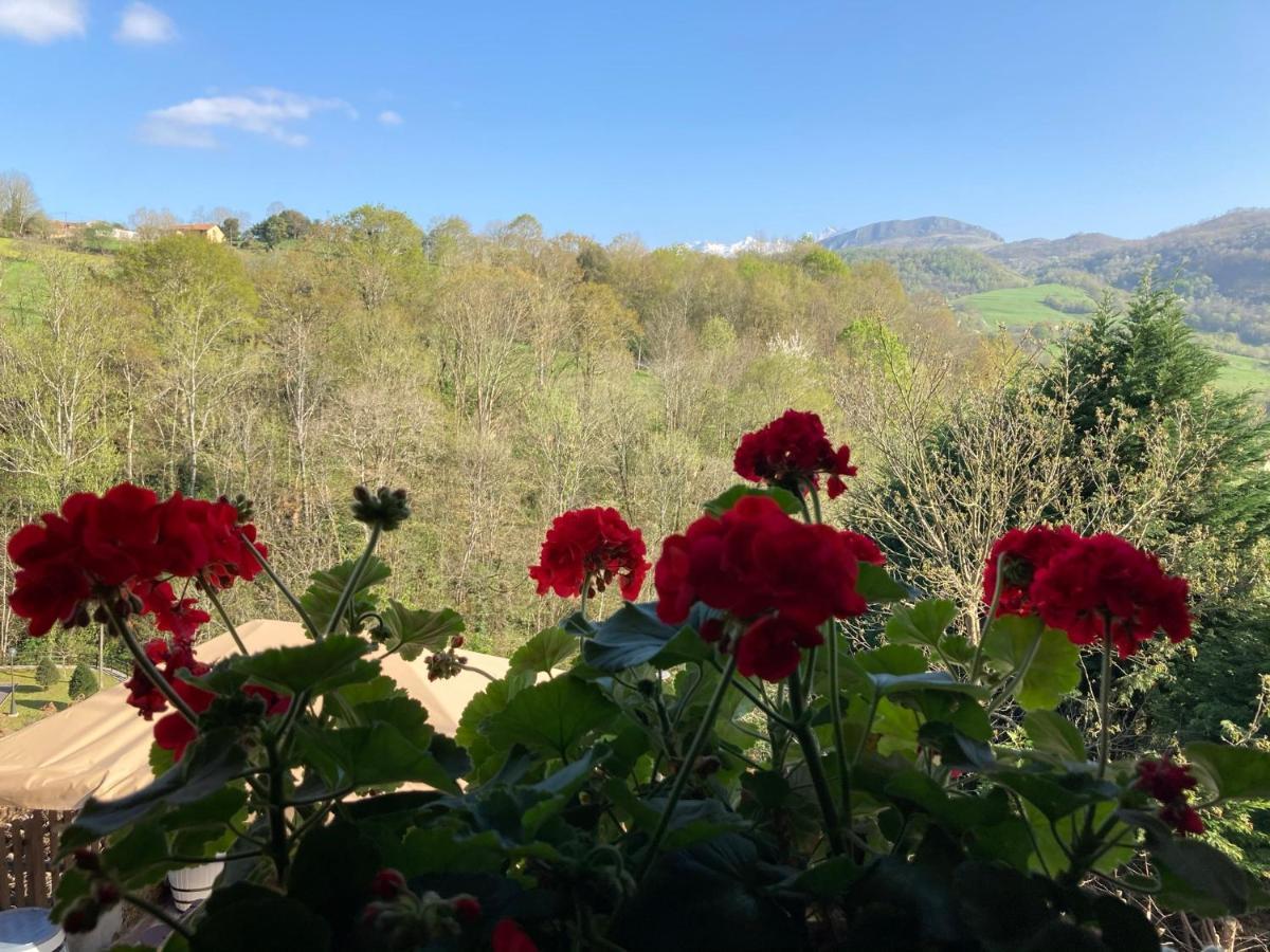Casa Elena Cangas De Onis Con Wifi Y Parking Gratuito מראה חיצוני תמונה