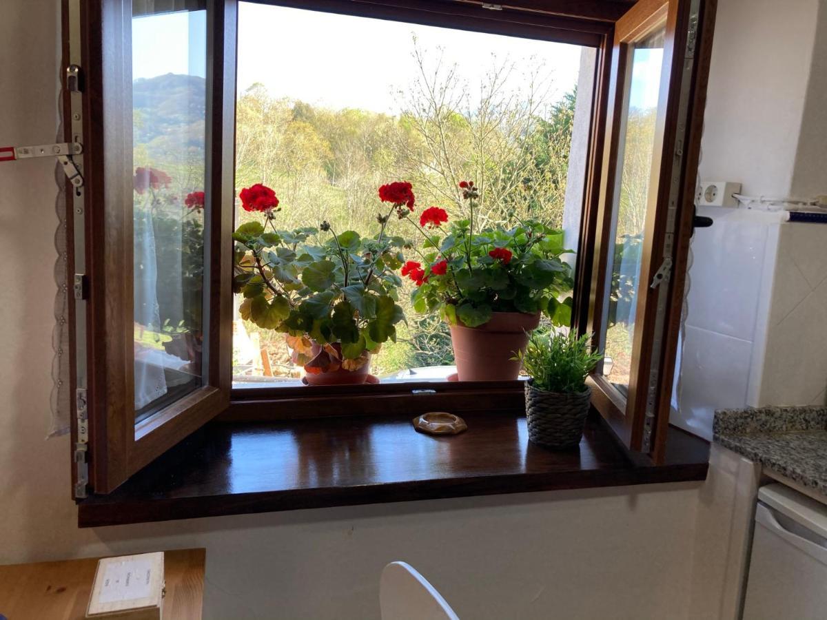 Casa Elena Cangas De Onis Con Wifi Y Parking Gratuito מראה חיצוני תמונה
