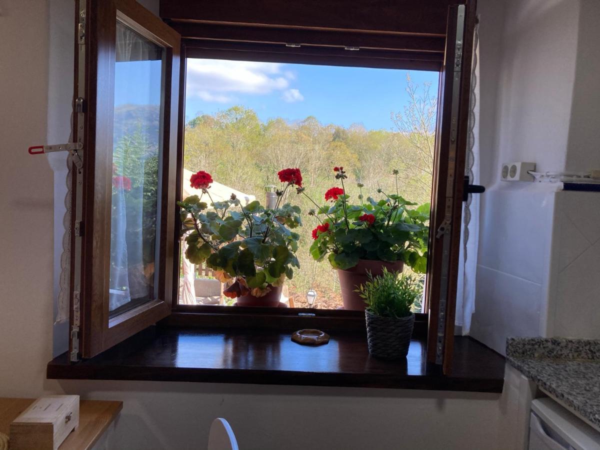 Casa Elena Cangas De Onis Con Wifi Y Parking Gratuito מראה חיצוני תמונה