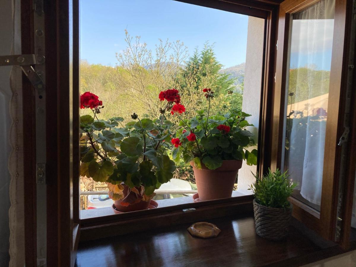 Casa Elena Cangas De Onis Con Wifi Y Parking Gratuito מראה חיצוני תמונה